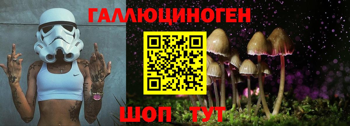 Псилоцибиновые грибы Cubensis Муром