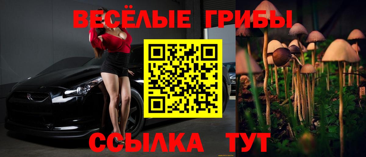 Муром  Псилоцибиновые грибы Psilocybine cubensis  Вход с VPN  Галлюциногенные грибы мухоморы 
